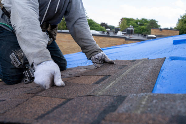 Best Roof Coating and Sealing  in Falls Church, VA